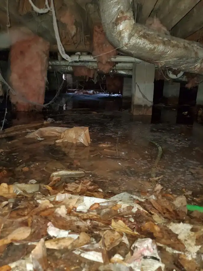 Crawl space flood assessment for Leak Detection & Repair in Lamar